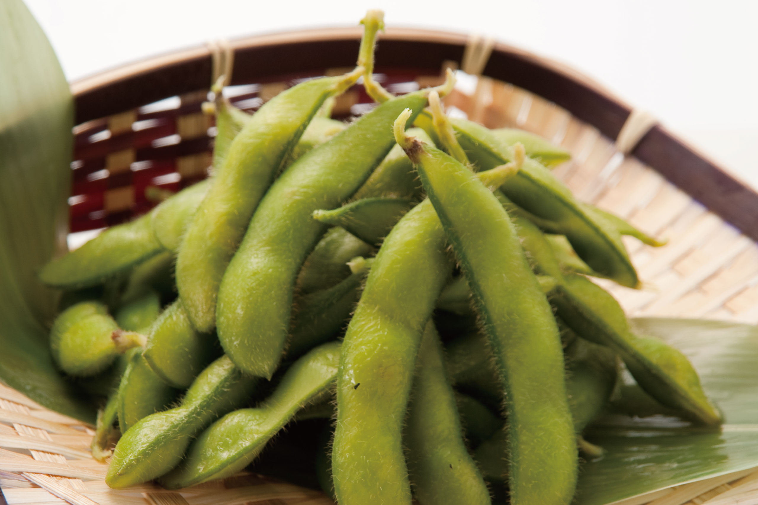 日本海庄や旬メニュー　2026年6月　野菜　生もぎ枝豆（茹で又は焼き）　日本海庄や　㈱かんなん丸